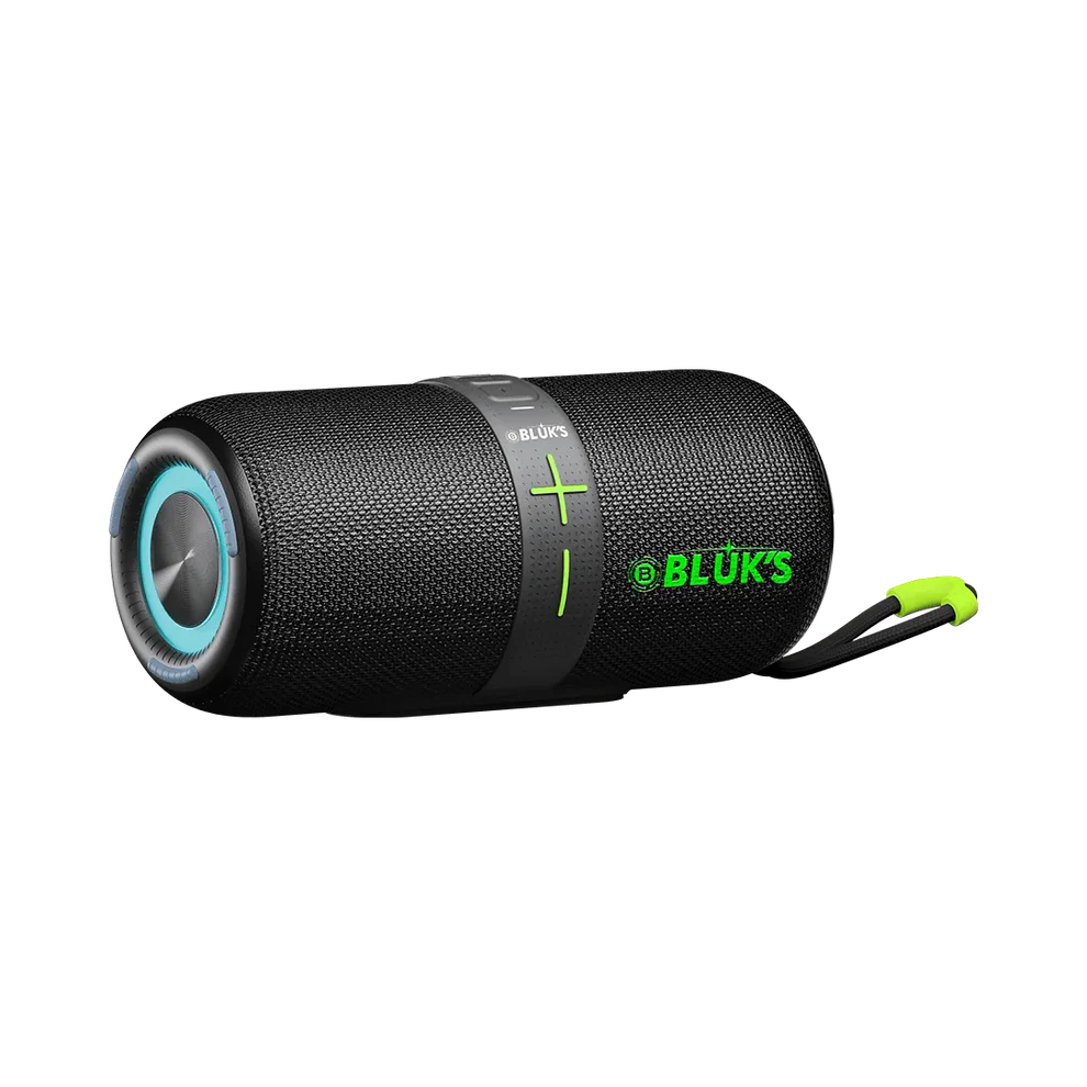 BX-200 24W Bass Wireless Speaker