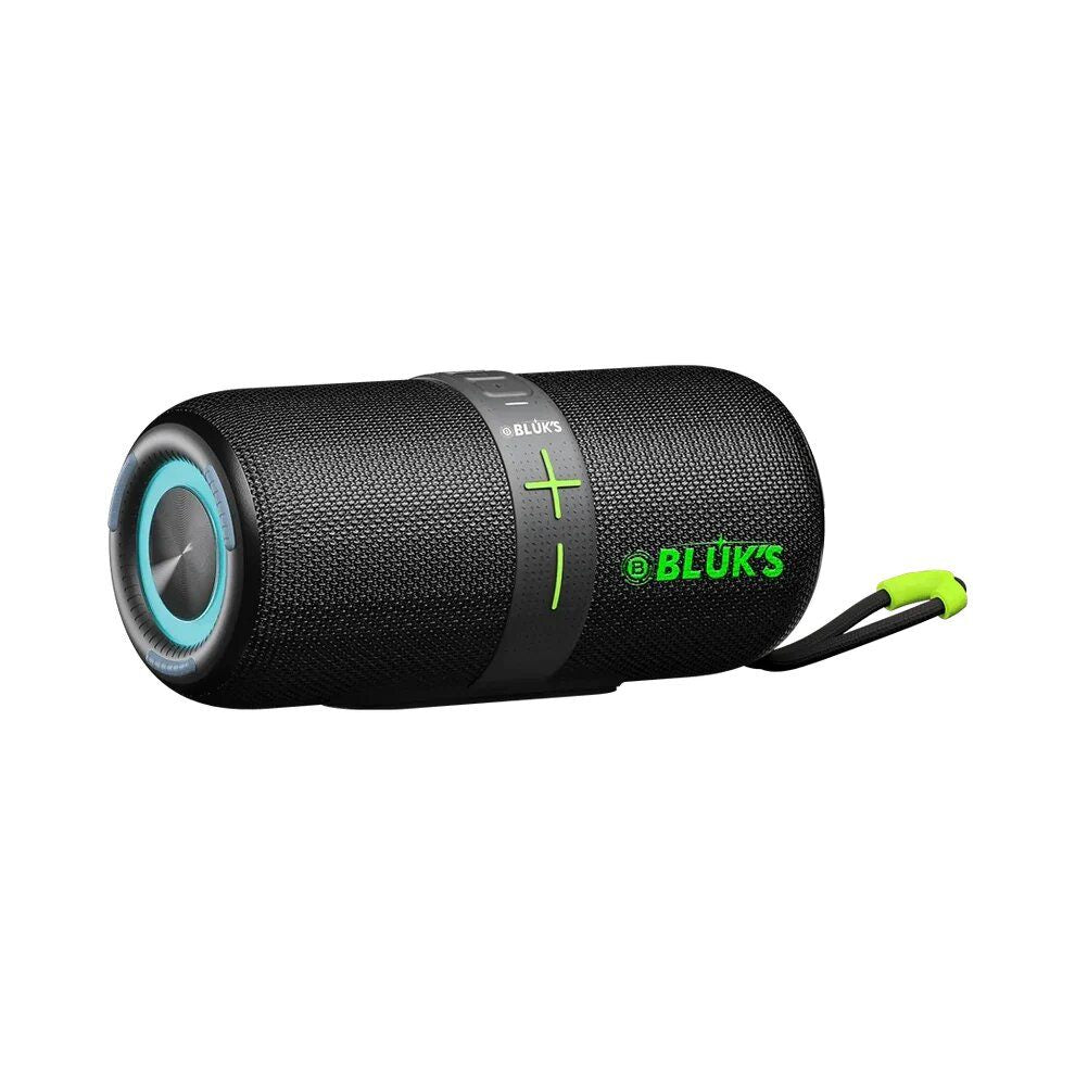 BX-200 24W Bass Wireless Speaker