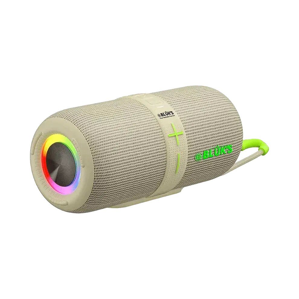 BX-200 24W Bass Wireless Speaker
