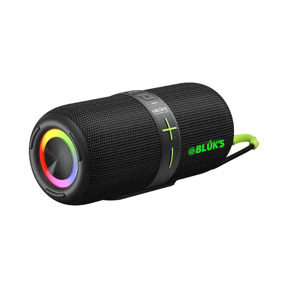 BX-200 24W Bass Wireless Speaker
