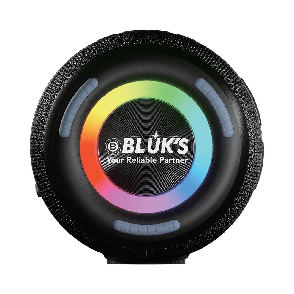 BX-200 24W Bass Wireless Speaker