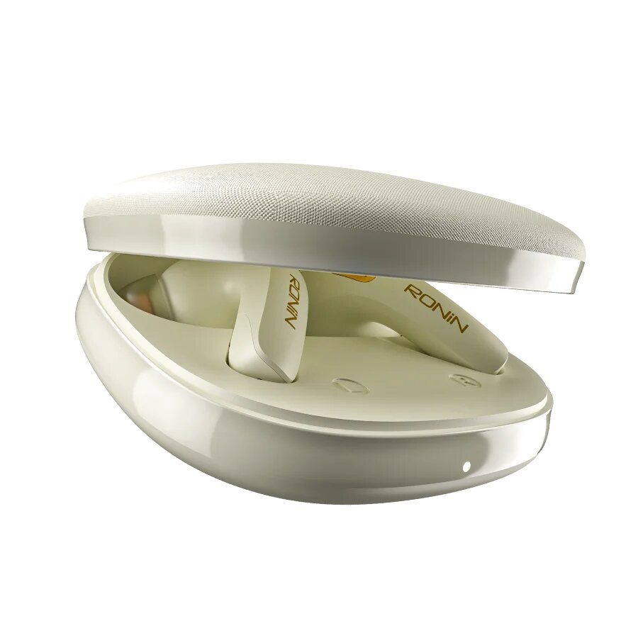 Pebble Earbuds